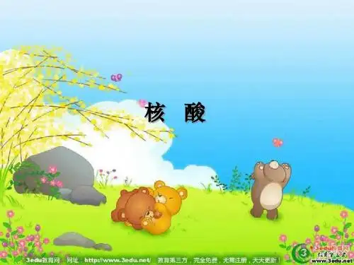 高二生物蛋白质和核酸