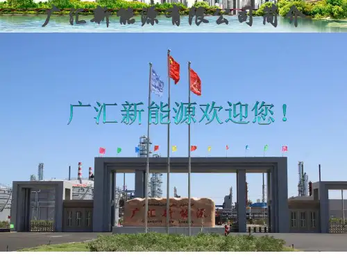 新疆广汇新能源全厂装置简介2014