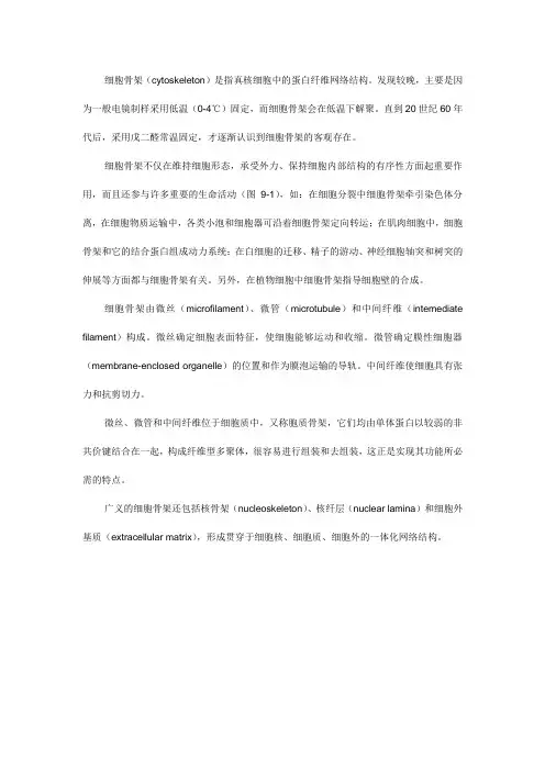 第九章 细胞骨架