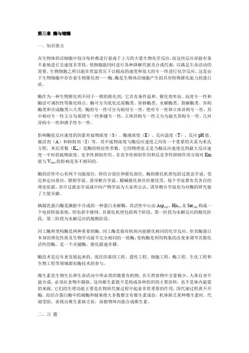 生物化学 酶