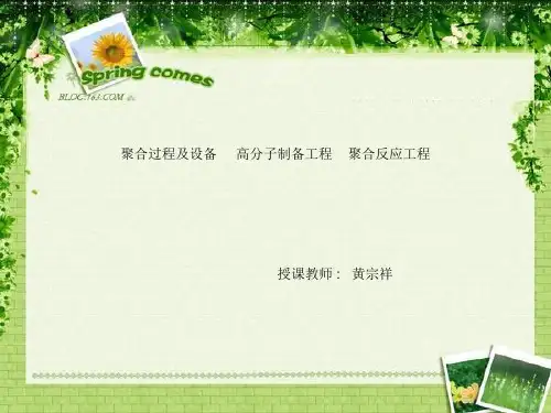 聚合物制备工程2008