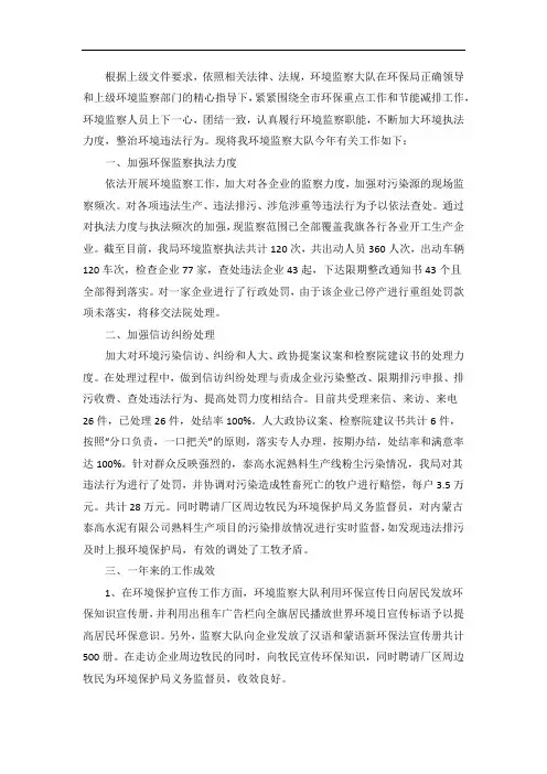 环境监察大队工作总结范文