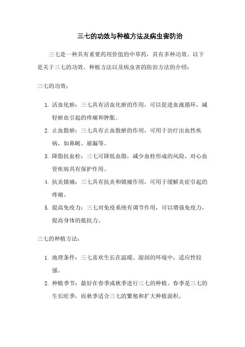 三七的功效与种植方法及病虫害防治
