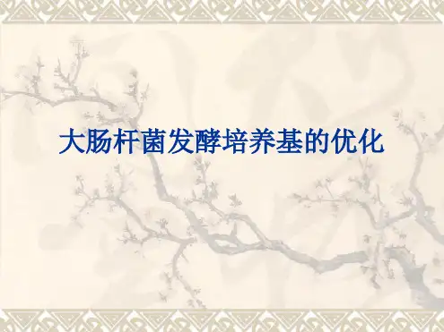 试验四-大肠杆菌发酵培养基的优化解答