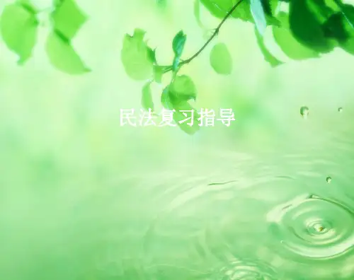 民法辅导PPT教学课件