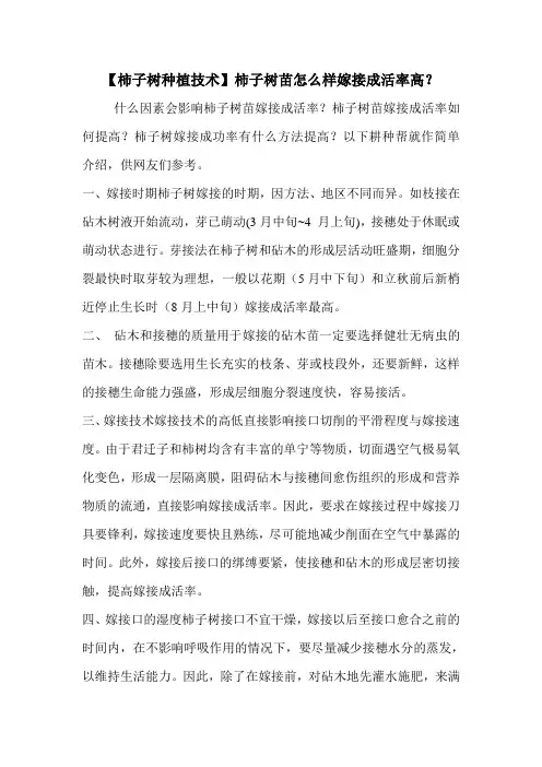 【柿子树种植技术】柿子树苗怎么样嫁接成活率高？