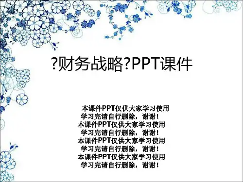 《财务战略》PPT课件