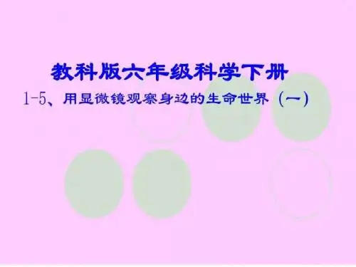 教科版六年级科学下册用显微镜观察身边的生命世界一