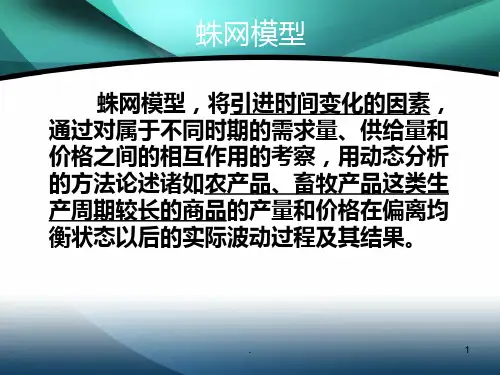蛛网蛛网模型PPT课件