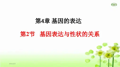 42基因表达与性状的关系高中生物必修二(2019)课件20