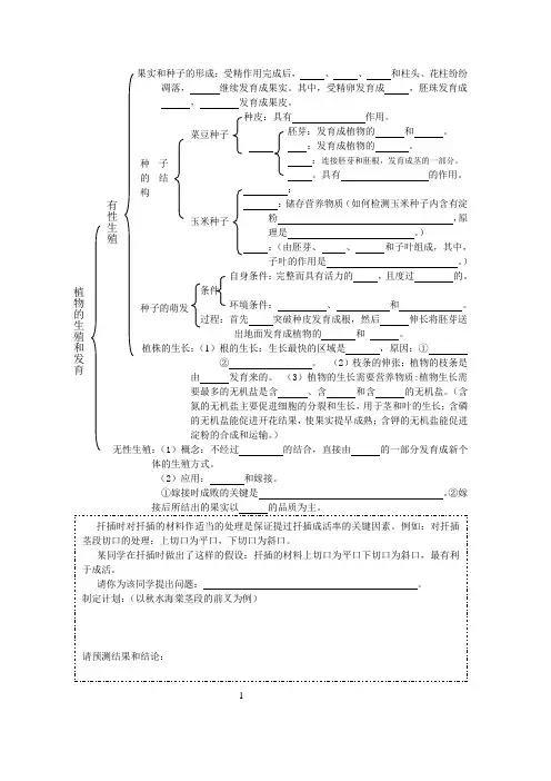 果实和种子的形成