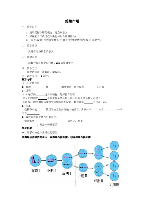【高中生物】人教高中生物必修2导学案：第二章第1节 减数分裂和受精作用第3课时