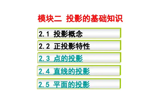 模块二投影的基础知识