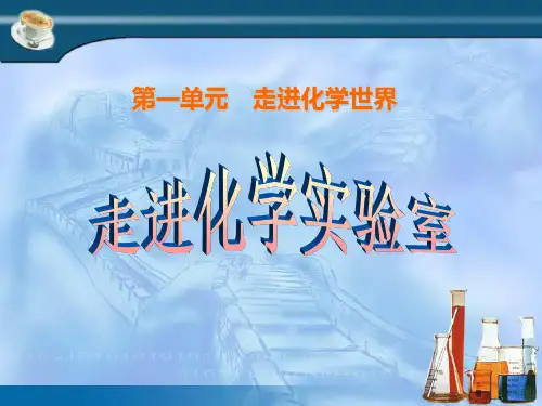 走进化学实验室-优秀PPT课件