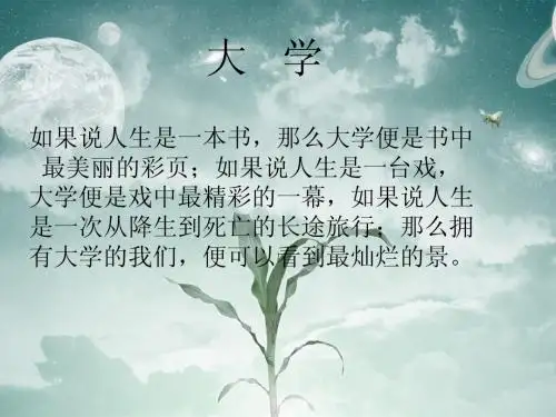 大学学习内容
