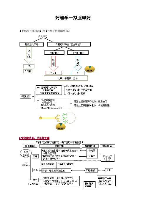 药理学—拟胆碱药