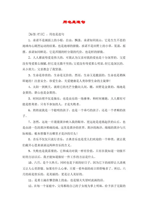 用也是造句
