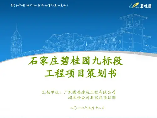 【优质课件】某工程项目策划书(PPT 73页)