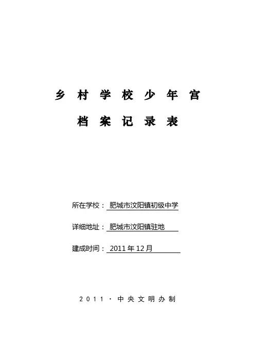 乡村学校少年宫档案记录表