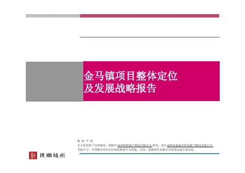 世联--成都温江金马镇项目整体定位及发展报告99页