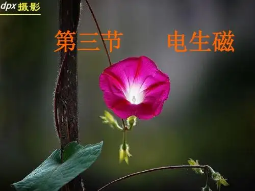 三.电生磁