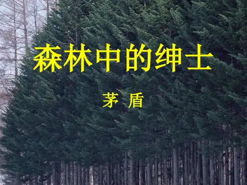 森林中的绅士ppt