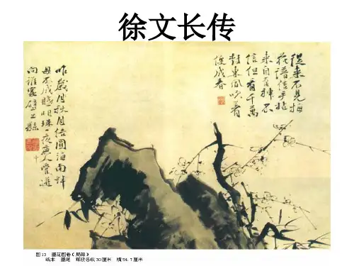 徐文长传