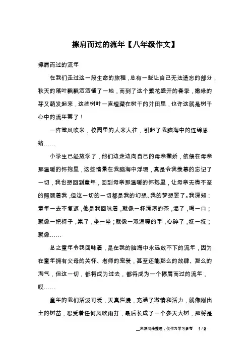 擦肩而过的流年【八年级作文】