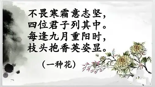 四年级上册语文课件-5 古诗三首 菊花∣语文S版
