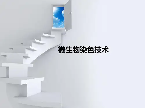 微生物染色技术