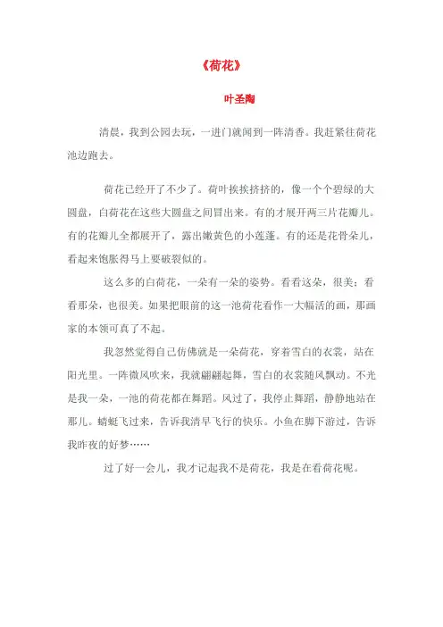 叶圣陶《荷花》