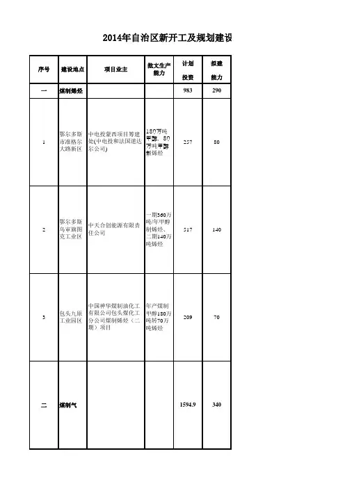 2014年自治区新开工及规划建设重大能源重化工项目名单