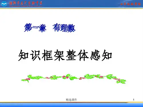 有理数知识框架图