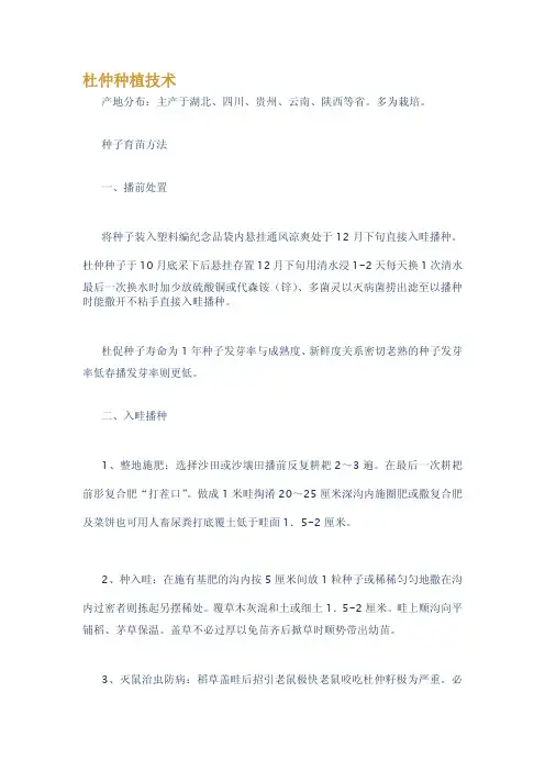 杜仲种植技术