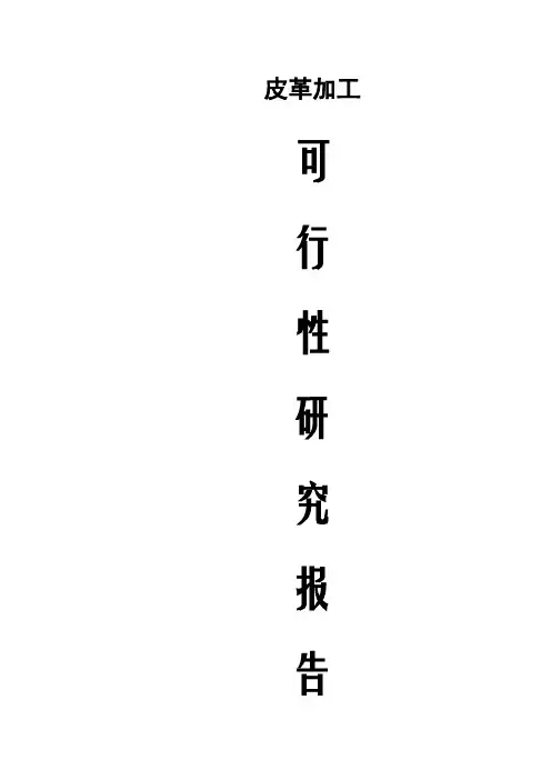 皮革加工可行性研究报告