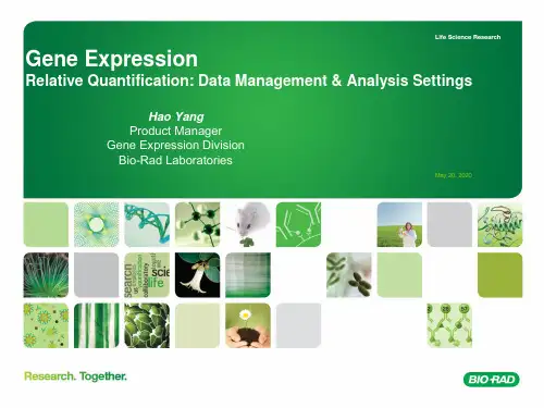 Gene Expression