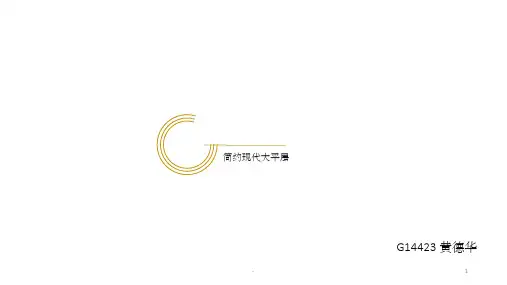 大平层 PPT