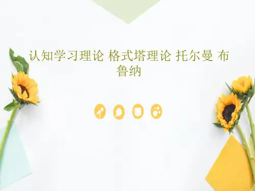 认知学习理论 格式塔理论 托尔曼 布鲁纳共47页