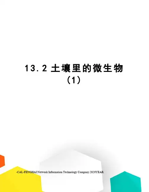 13.2土壤里的微生物(1)