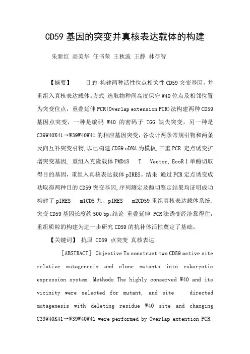 CD59基因的突变并真核表达载体的构建