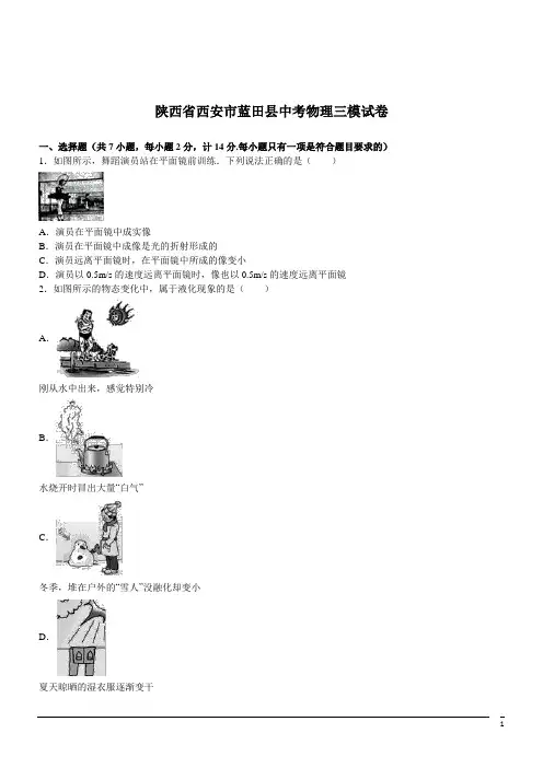 陕西西安蓝田中考三模试卷--物理(解析版)