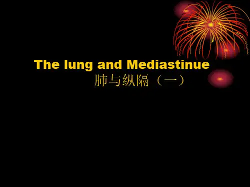 医学影像学-肺与纵隔(一)PPT