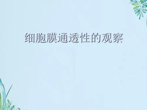 细胞膜通透性的观察