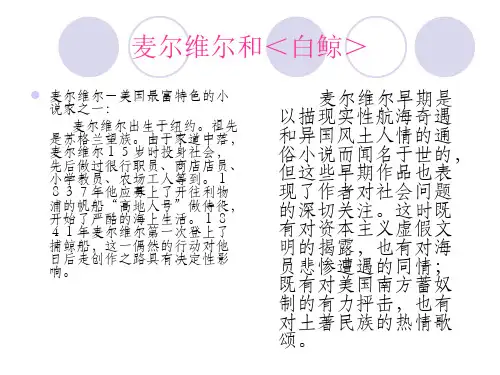 《白鲸 》