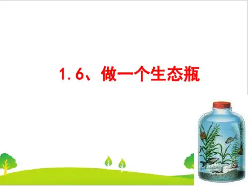 最新教科版小学五年级上册科学《做一个生态瓶》教学课件