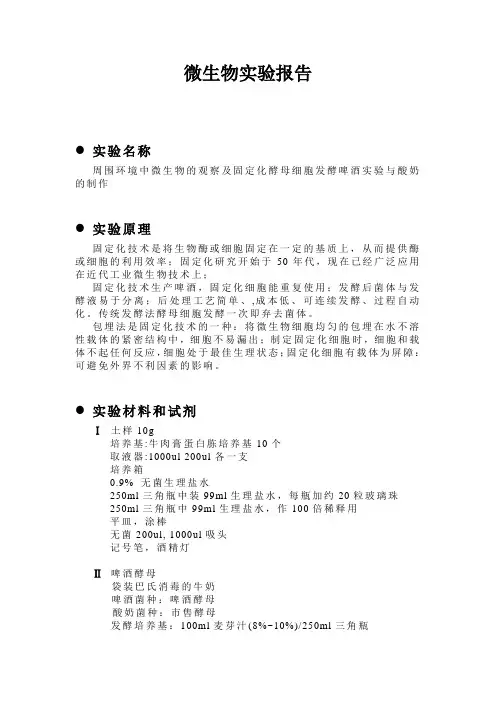 微生物实验报告周围环境中微生物的观察及固定化酵母细胞发酵啤酒实验与酸奶的制作