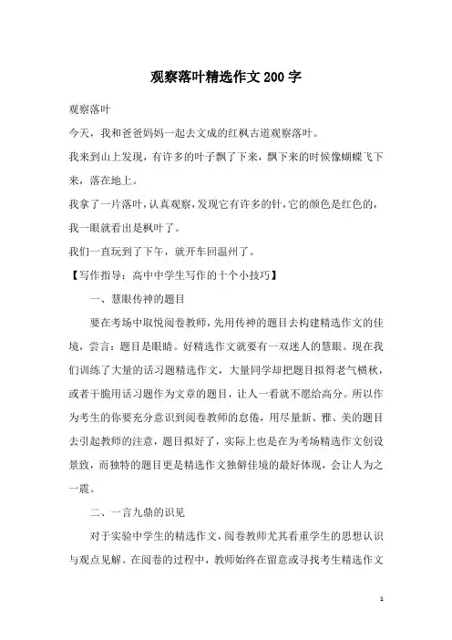 观察落叶精选作文200字
