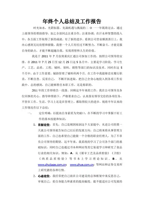 个人总结及工作报告