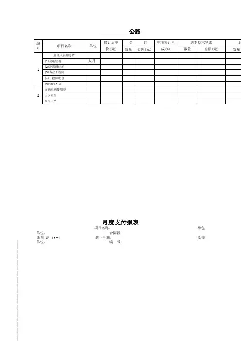 月度支付报表