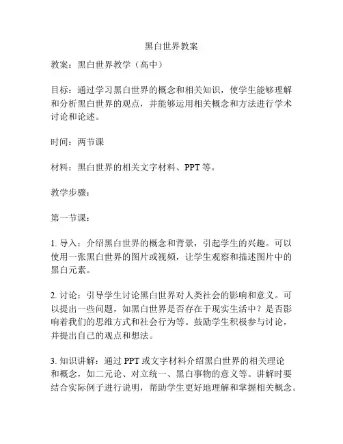黑白世界教案 2